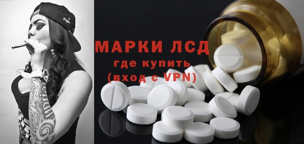 эйфоретик Каменка