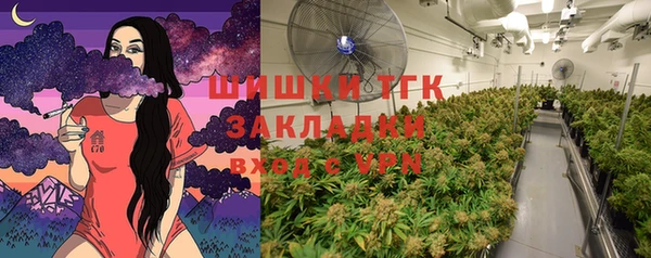 эйфоретик Каменка