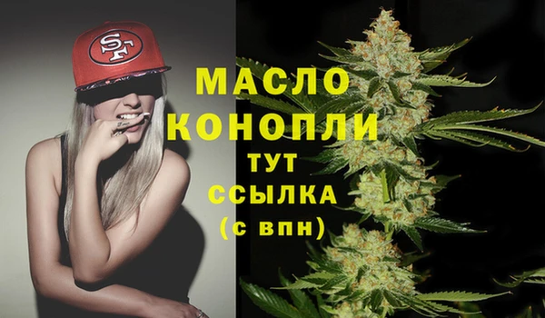 индика Киренск