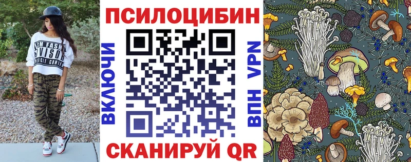 Купить  Искитим  Псилоцибиновые грибы Cubensis 
